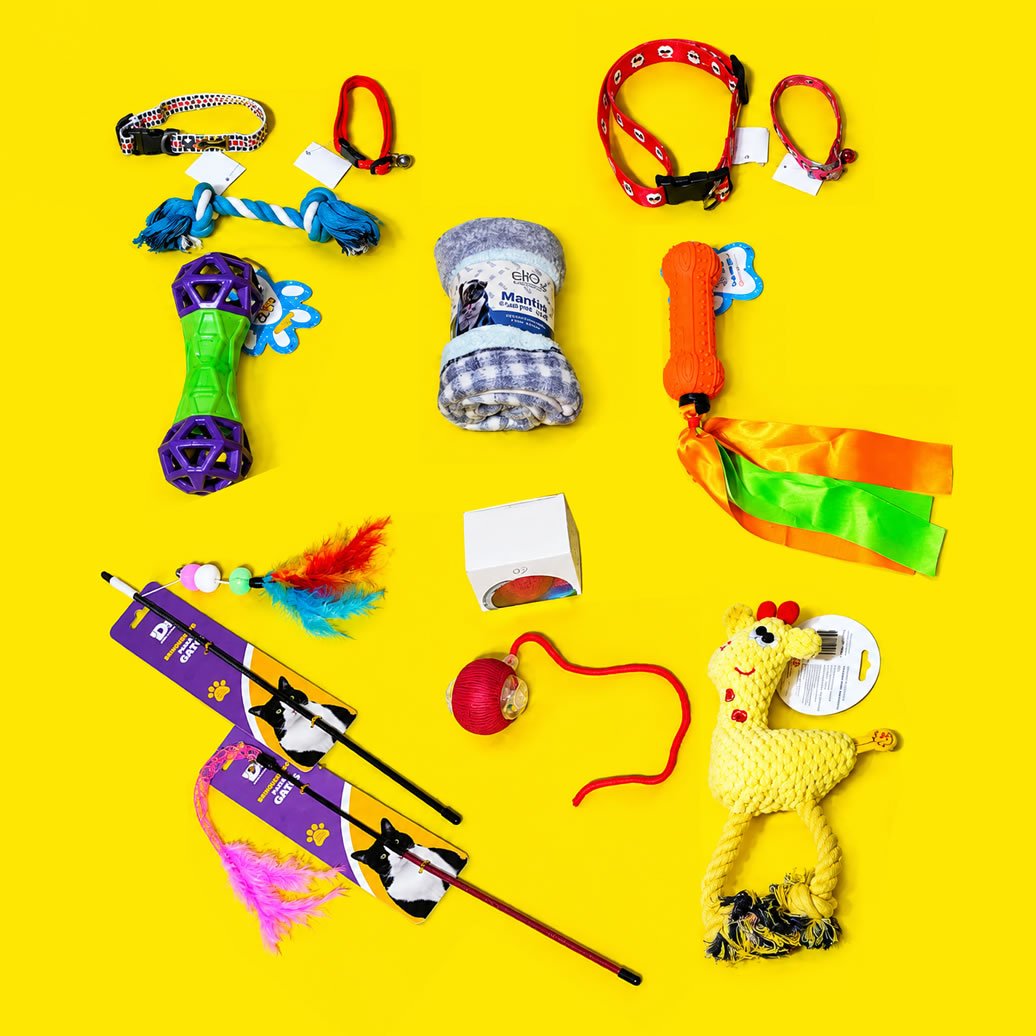 Coleiras, mantinhas e brinquedos
