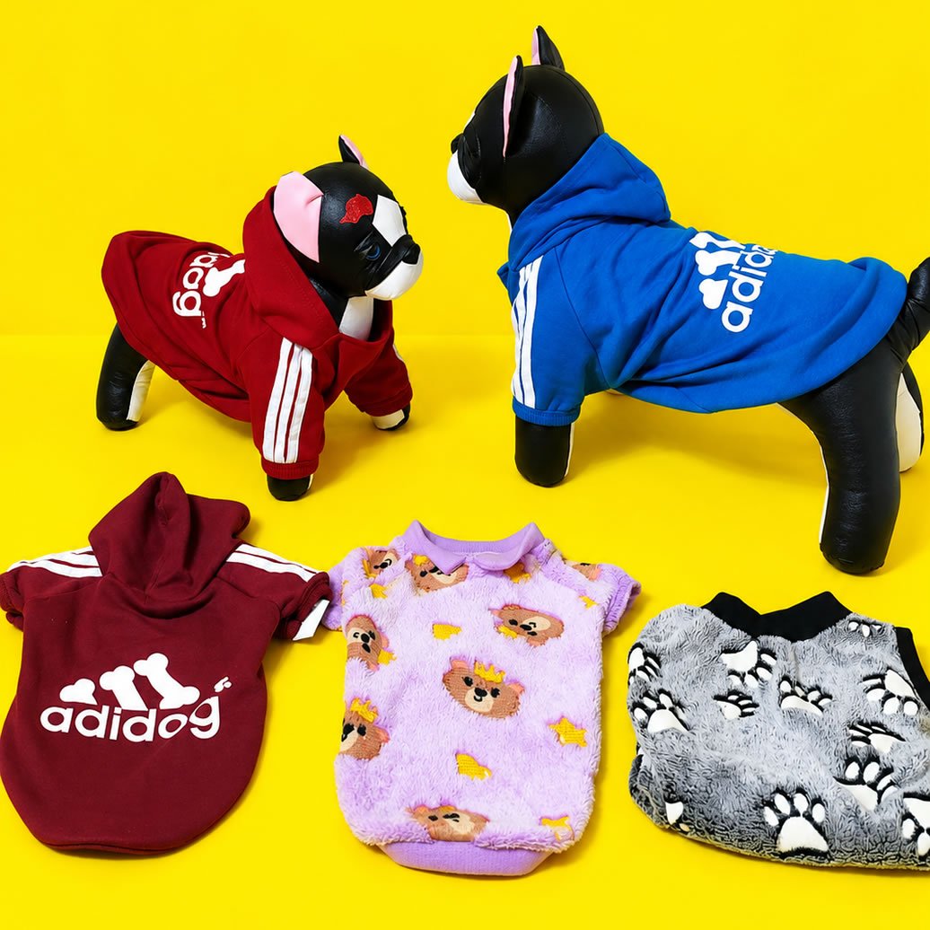 Roupinhas de inverno para pets